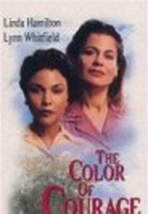 As Cores da Amizade (The Color of Courage)