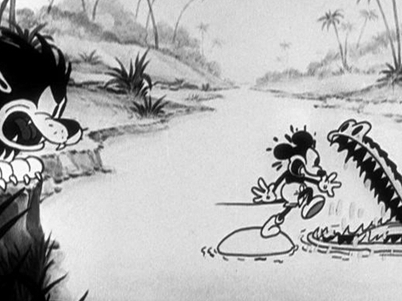 Foto 1 de The Castaway