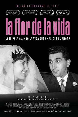 Poster 3 de Filme A Flor da Vida (2017)