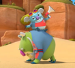 Coach Koala
