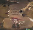 A Noite do Lobo