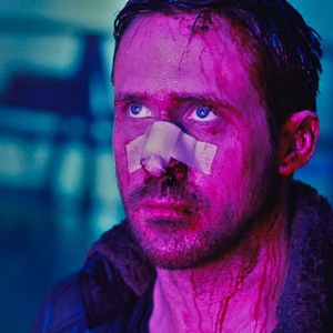 Foto de perfil de Vinicius