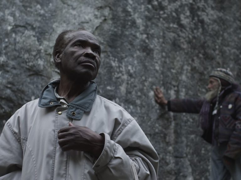 Foto 3 de Moscas Noturnas