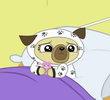 Chip's First Sleepover