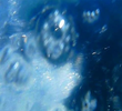 A fleur d’eau…