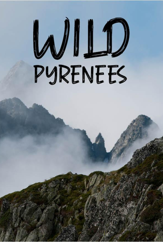 Poster 1 de TV WILD PYRENEES (2020)