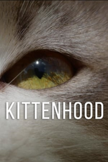Kittenhood (Kittenhood)