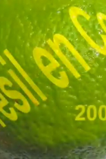 Brésil en Courts (Brésil en Courts)