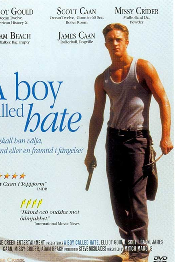 Poster de Filme Marcado pela Violência (1996)