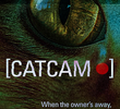 Cat Cam