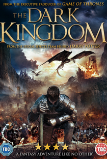 O Reino do Dragão - Poster / Capa / Cartaz - Oficial 3