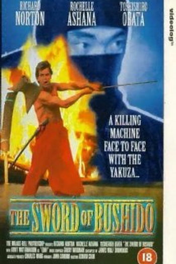  de Filme A Vingança da Espada Ninja (1990)