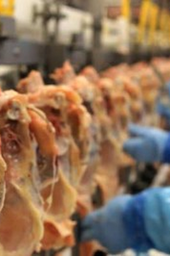  de Filme Carne e Osso (2011)