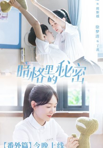 Our Secret Extra (暗格里的秘密 番外篇)