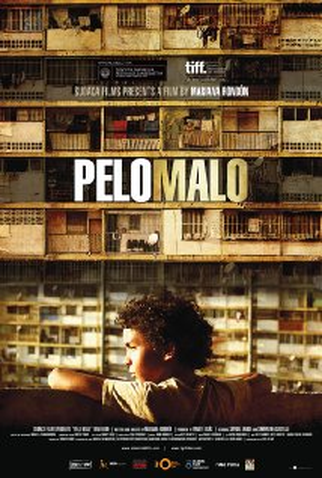 Poster 1 de Filme Pelo Malo (2013)