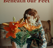 The Ground Beneath Our Feet