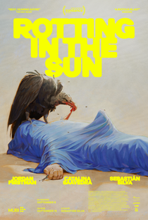 Rotting in the Sun - Poster / Capa / Cartaz - Oficial 3