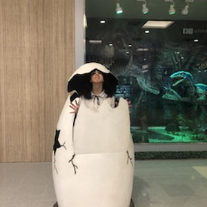 Foto de perfil de Polianna