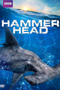 The BBC: Natural World - Hammerhead - Poster / Capa / Cartaz - Oficial 1