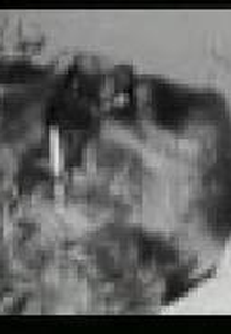 Smetak - Simbologia dos Instrumentos (Smetak - Simbologia dos Instrumentos)