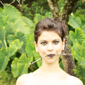 Foto de perfil de bellis annua