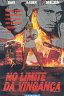No Limite da Vingança - Poster / Capa / Cartaz - Oficial 2