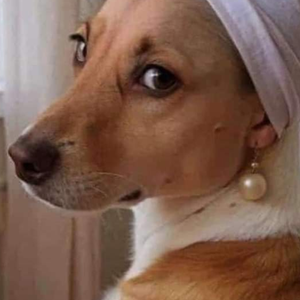 Foto de perfil de Li