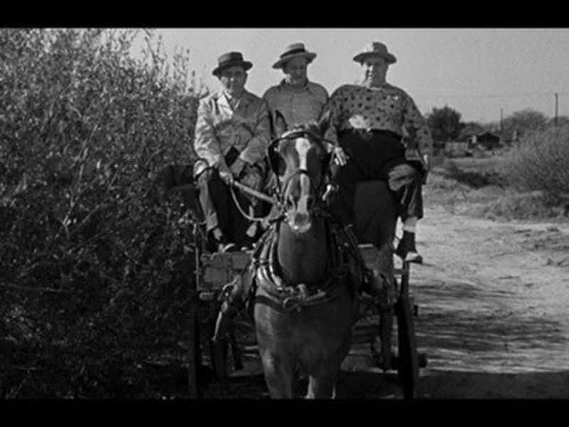 Foto 3 de Salvem Ele