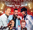 Backstreet Boys _In A World Like This Japão 2013