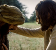 Indescribable Compassion