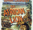 O Leão Africano