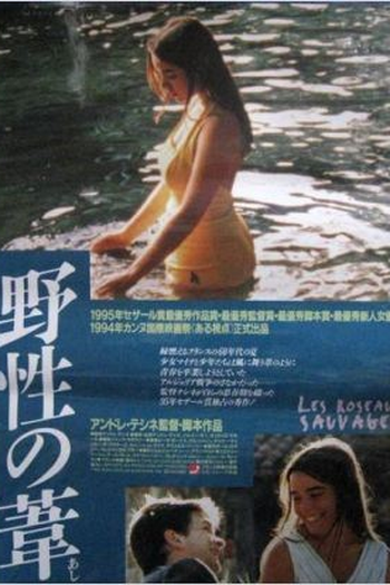  de Filme Rosas Selvagens (1994)