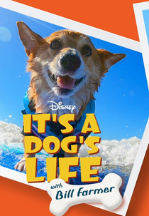 Super Cães – Apresentado por Bill Farmer (1ª Temporada) (It's a Dog's Life with Bill Farmer (Season 1))