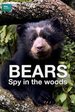 Bears: Spy in the Woods (Bears: Spy in the Woods)