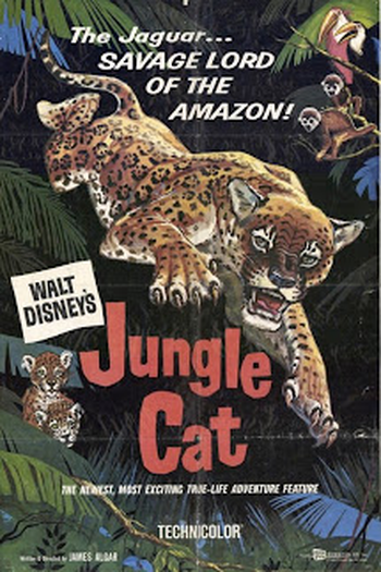  de Filme O Gato da Floresta (1960)
