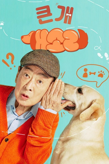 Poster de Franquia 개소리 (2024)