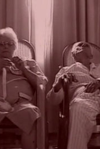 Poster 1 de Curta Os Dois Velhinhos (1996)