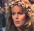 Druids / A Night in a Harem