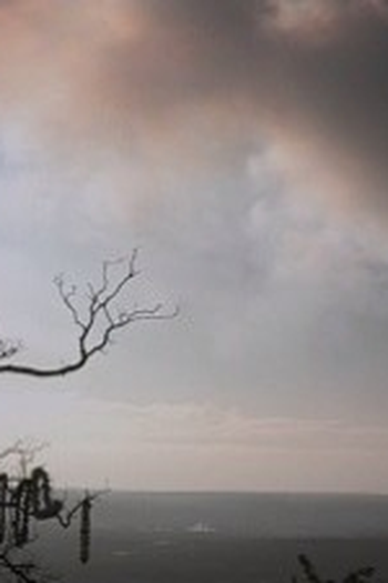 Poster de Episódio Yellowstone (2016)