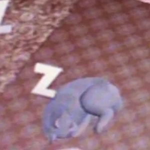 Foto de perfil de Alice NE.VA