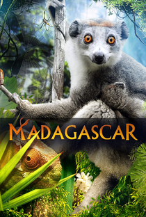 Madagascar 3D - Poster / Capa / Cartaz - Oficial 1
