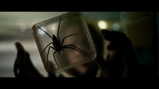 Trailer: Vermin / Vermines (2023) - Trailer (French)