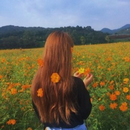Foto de perfil de Marília Alves