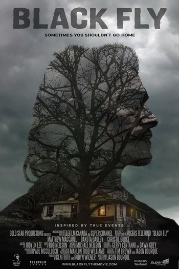 Poster de Filme Black Fly (2014)
