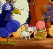 The Wild Wild Pets