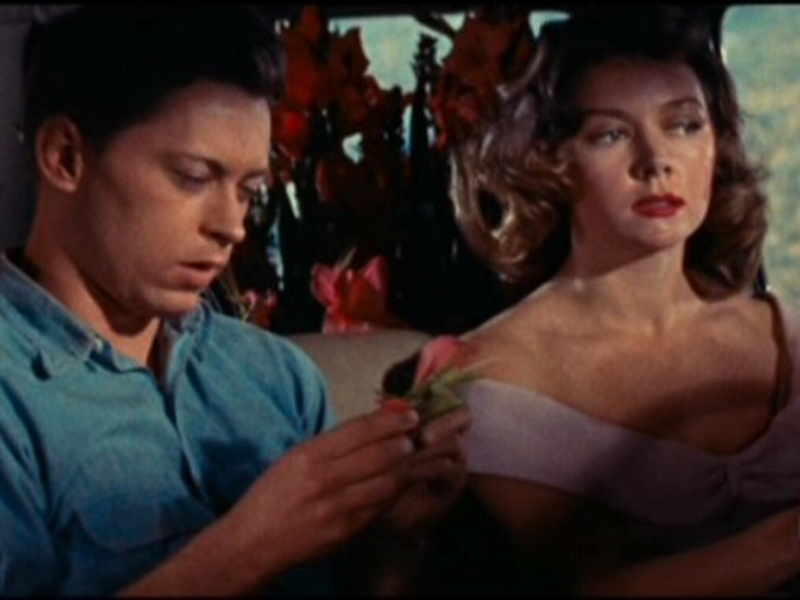 Foto 1 de Paixões Sem Freios