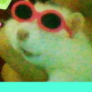 Foto de perfil de C.