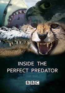 Por Dentro do Predador Perfeito (Inside the Perfect Predator)