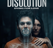 Disolution