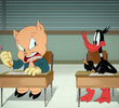 Test Pest